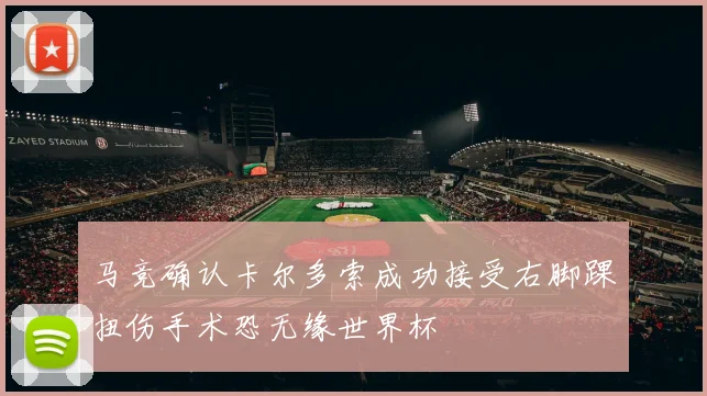 马竞确认卡尔多索成功接受右脚踝扭伤手术恐无缘世界杯